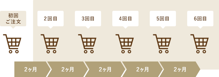 年6回コース