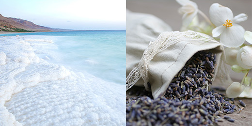 渇きを癒す、死海と植物