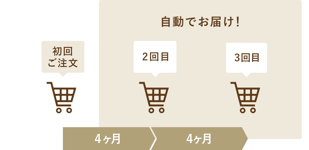 年3回コース