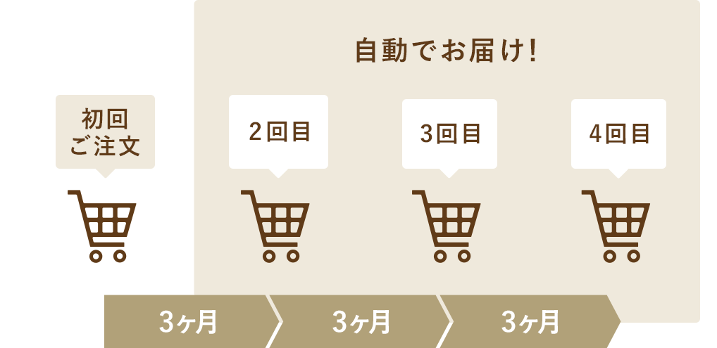 年4回コース