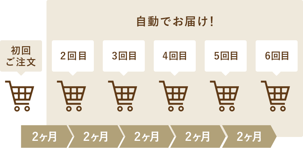 年6回コース