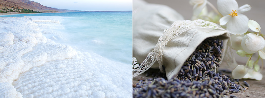 渇きを癒す、死海と植物