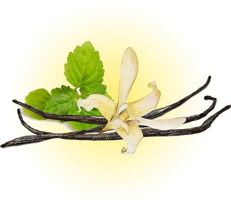 パチュリ・ラベンダー・バニラ