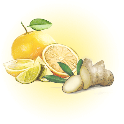 ジンジャーオレンジ