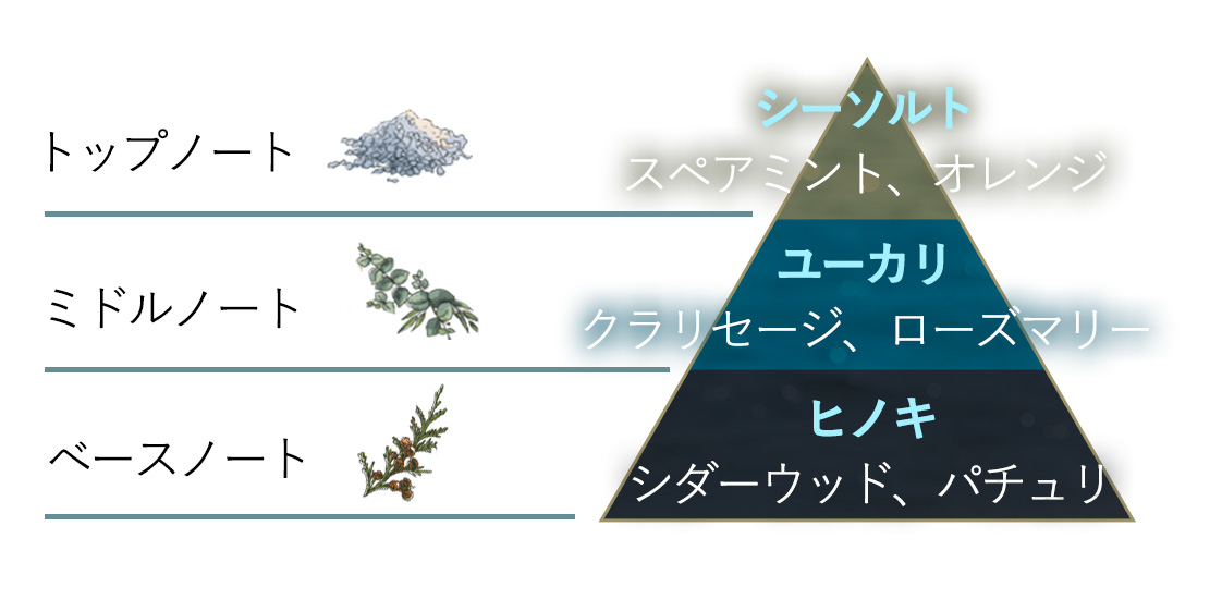 香りピラミッド