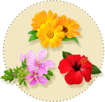 3種のフラワーエキス