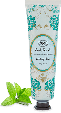 ヘッドスクラブ リフレッシング