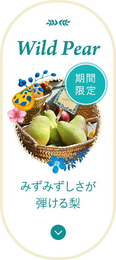 期間限定 Wild Pear みずみずしさが弾ける梨