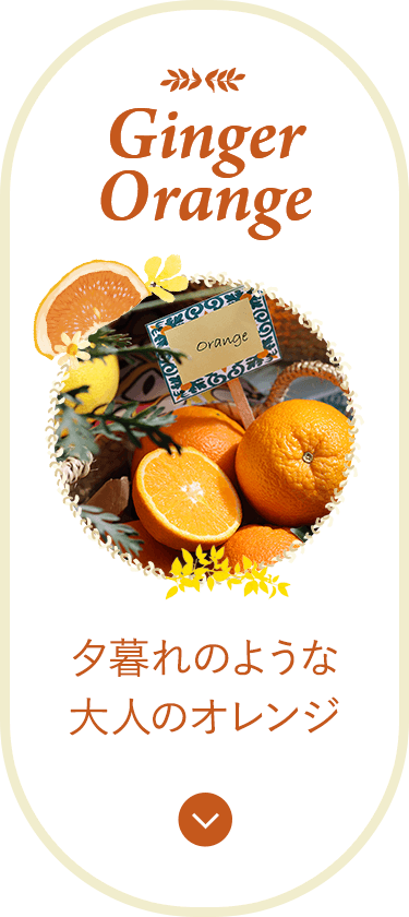Ginger Orange 夕暮れのような大人のオレンジ