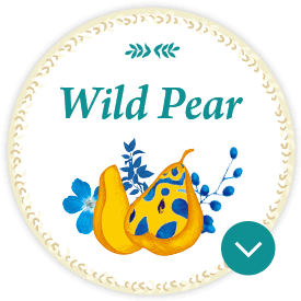 Wild Pear みずみずしさが弾ける梨