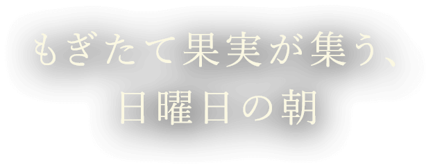 もぎたて果実が集う、日曜日の朝