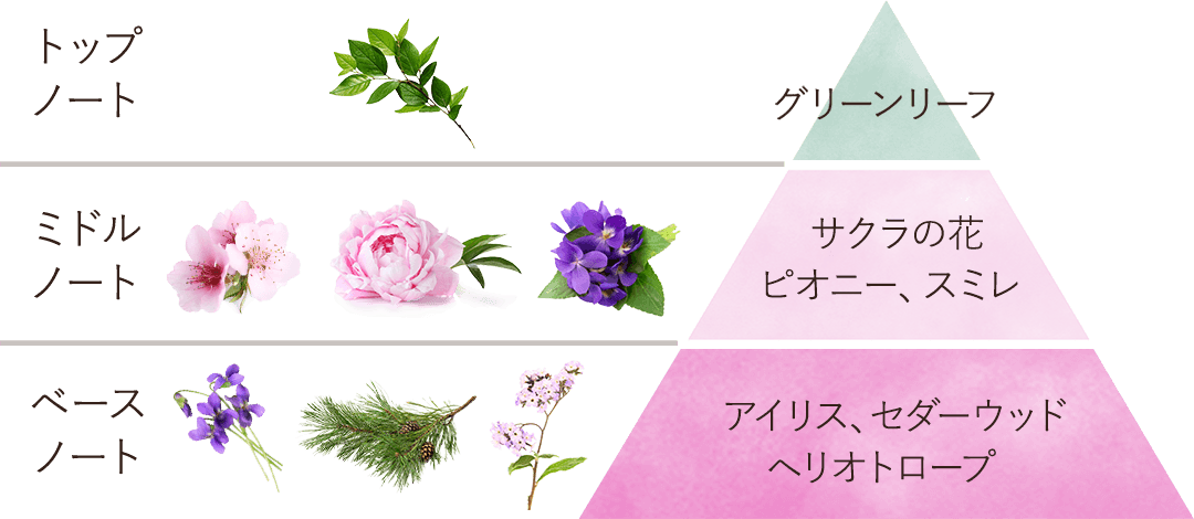 香りピラミッド