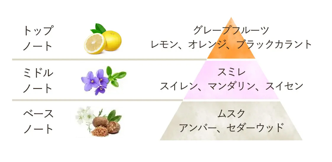 香りピラミッド