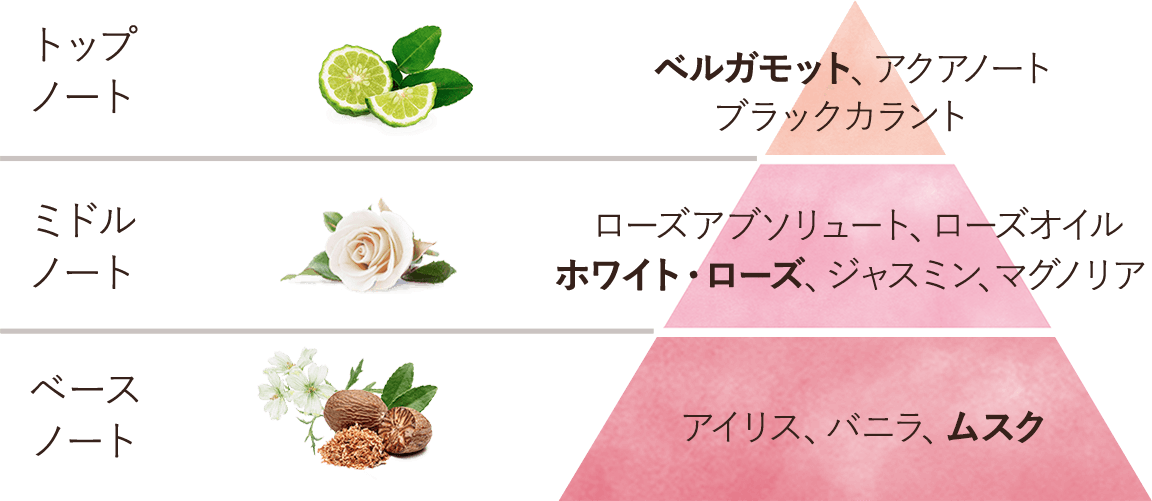 香りピラミッド