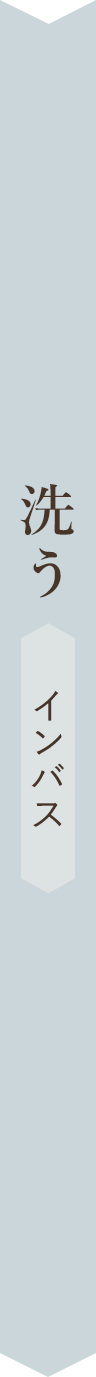 洗う インバス