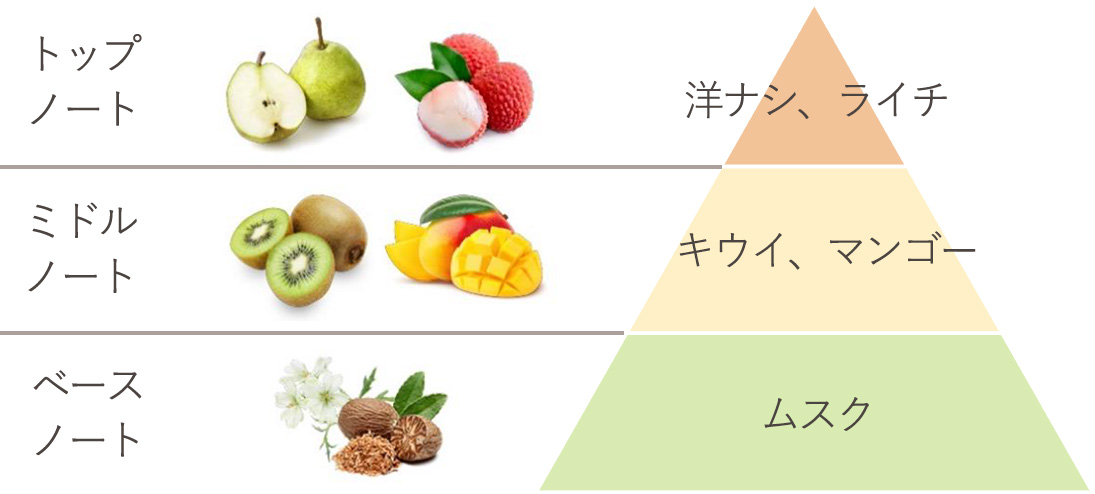 トップノート:洋ナシ、ライチ ミドルノート:キウイ、マンゴー ベースノート:ムスク