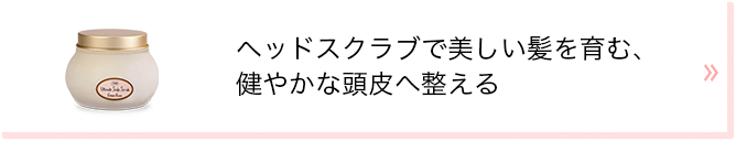 ヘッドスクラブで美しい髪を育む、健やかな頭皮へ整える
