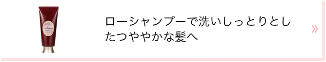 ローシャンプーで洗いしっとりとしたつややかな髪へ