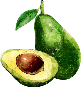 アボカドオイル