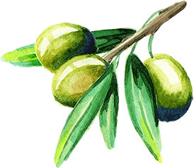 オリーブオイル