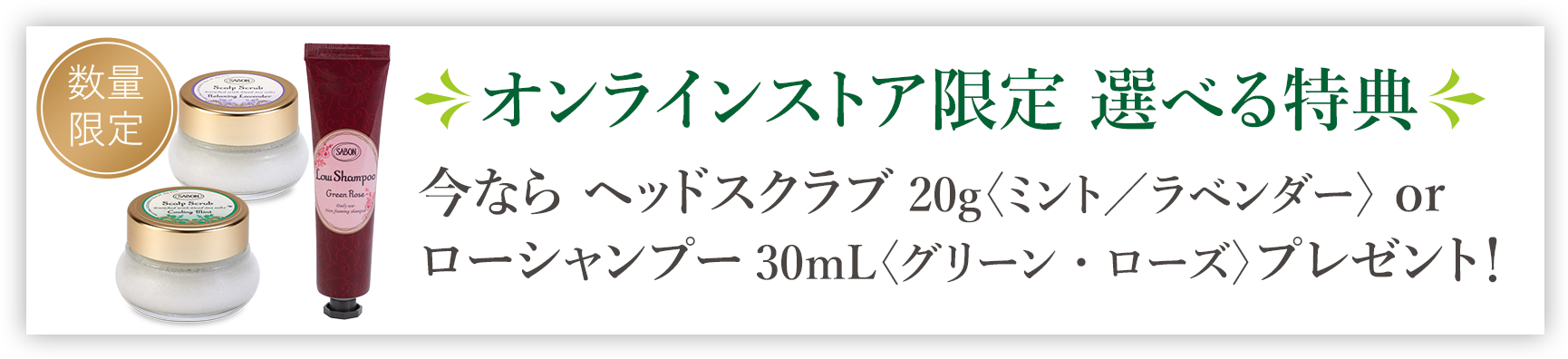 オンラインストア限定 選べる特典 今なら ヘッドスクラブ20g〈ミント／ラベンダー〉 or ローシャンプー30mL〈グリーン・ローズ〉プレゼント！ 数量限定