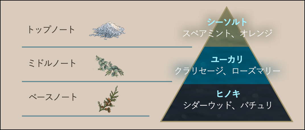 香りピラミッド