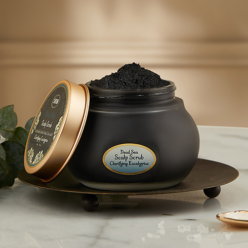SABON DEAD SEA ボディソープ、ボディクリーム ポーチ付き SABON DEAD SEA ボディソープ、ボディクリーム ポーチ付き