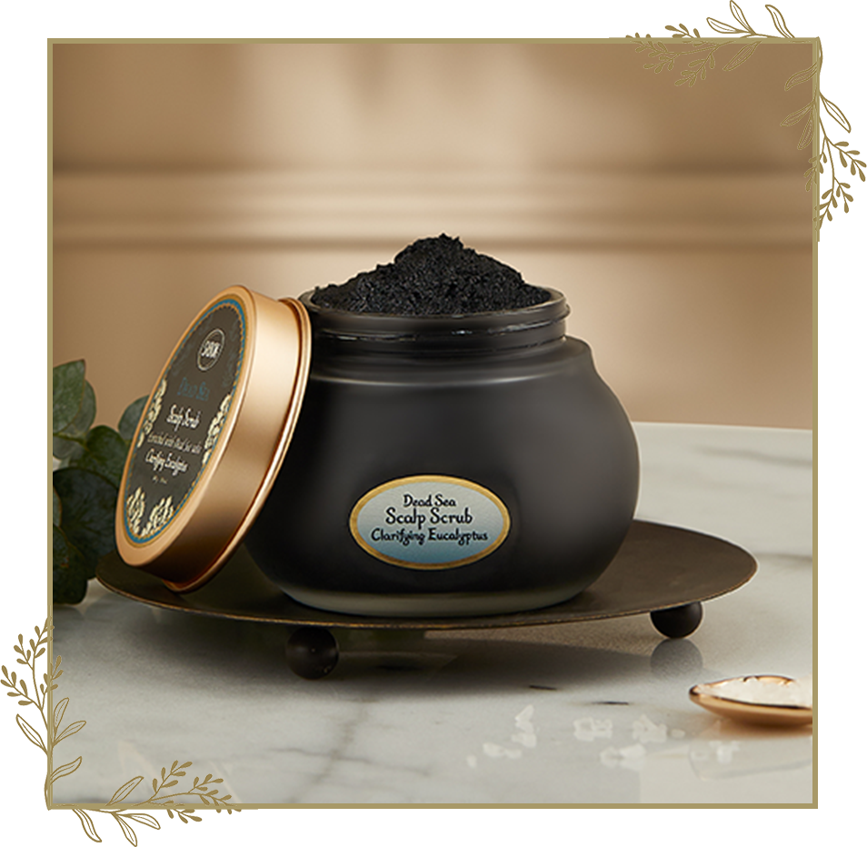 ヘッドスクラブ | SABON サボン ヘッドスクラブ | SABON サボン