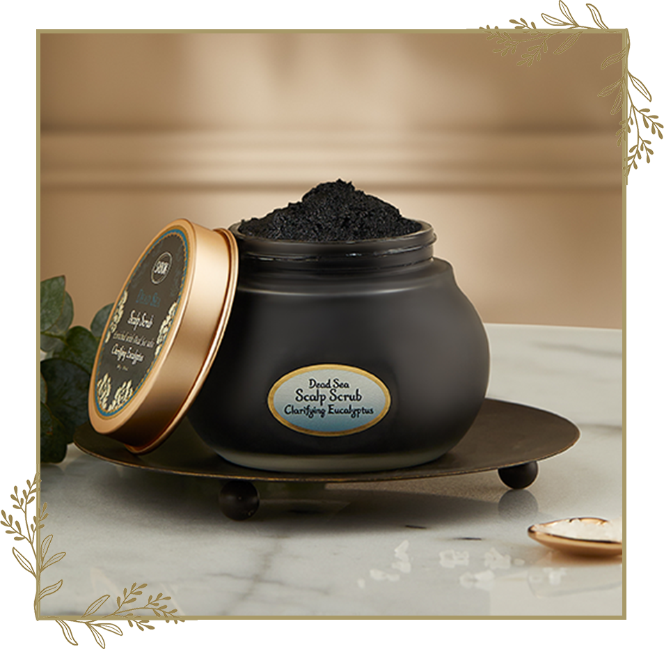 ヘッドスクラブ | SABON サボン ヘッドスクラブ | SABON サボン