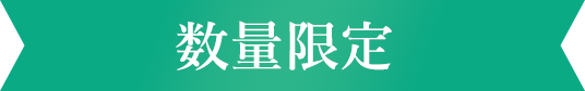 数量限定