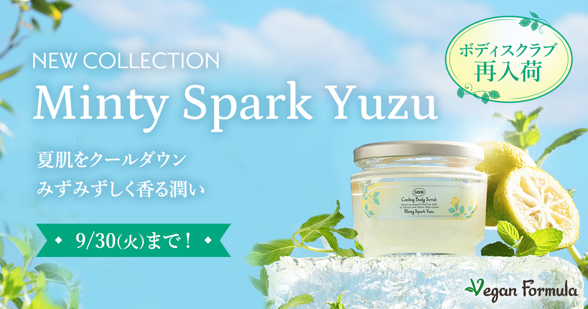 ボディ・フェイスケア Aqua Silion Mist ボディ・フェイスケア Aqua Silion Mist 24アクアミスト for Pro