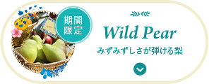 期間限定 Wild Pear みずみずしさが弾ける梨