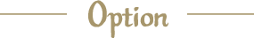 Option
