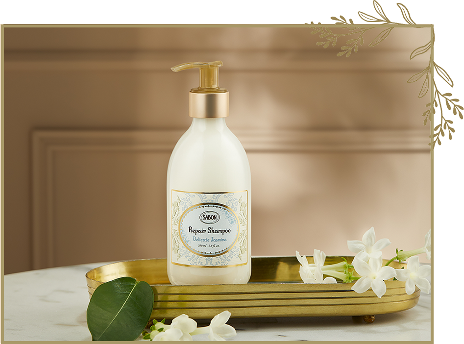 ヘアケアライン | SABON サボン ヘアケアライン | SABON サボン