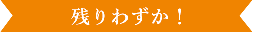 残りわずか!