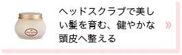 ヘッドスクラブで美しい髪を育む、健やかな頭皮へ整える