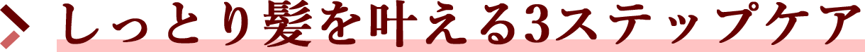 しっとり髪を叶える3STEPケア
