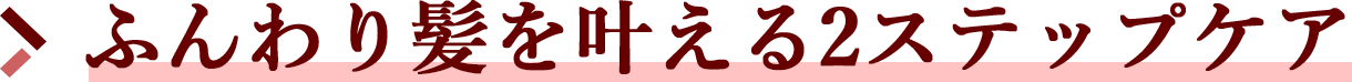 ふんわり髪を叶える2STEPケア