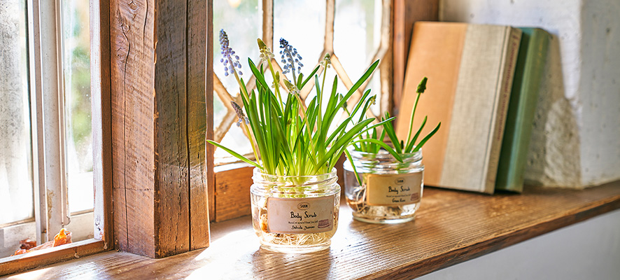 空きガラス容器で生活を豊かに