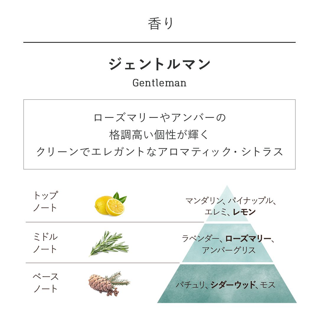 アロマ(100mL) ジェントルマンの商品画像