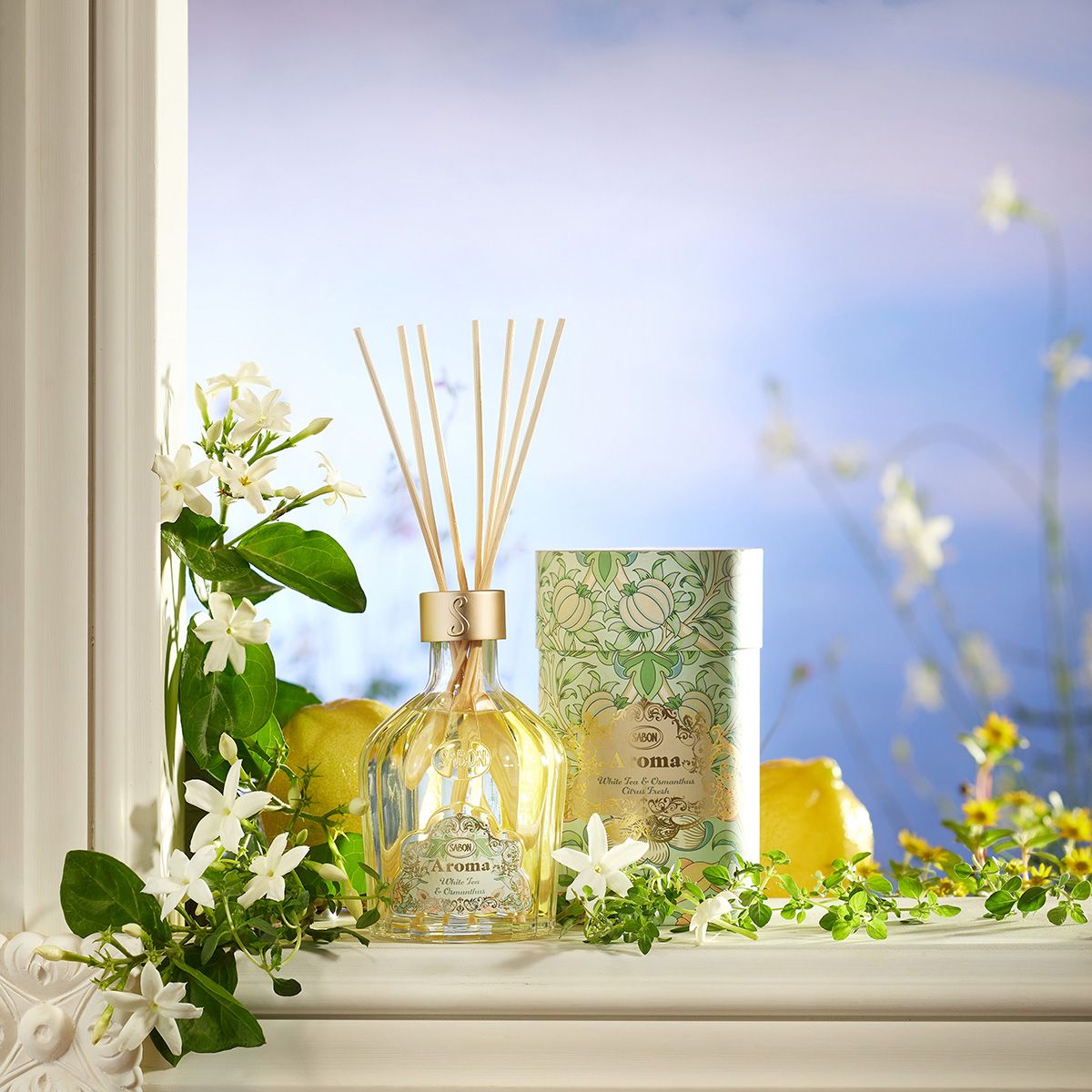 アロマ ホワイトティー&オスマンサスの商品画像