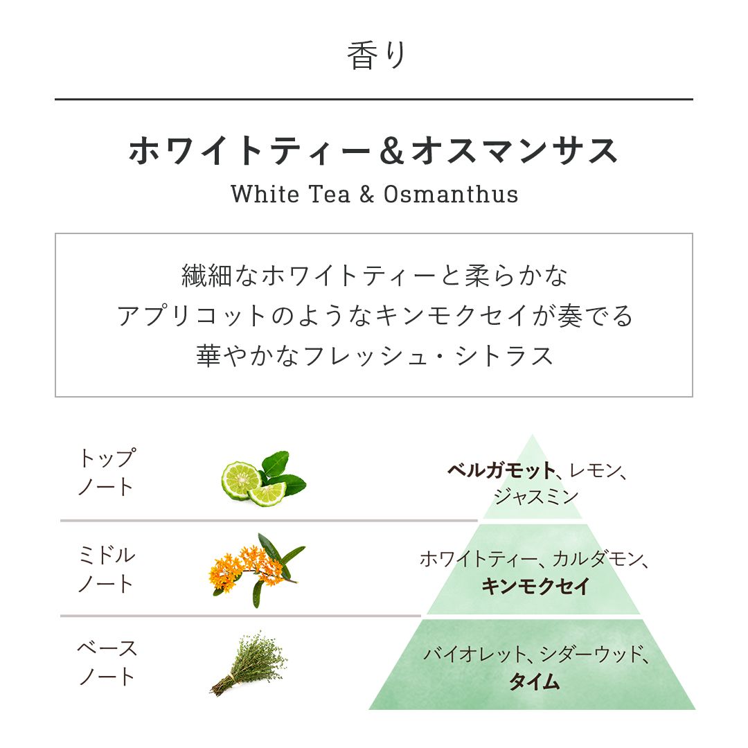 アロマ(100mL) ホワイトティー&オスマンサスの商品画像