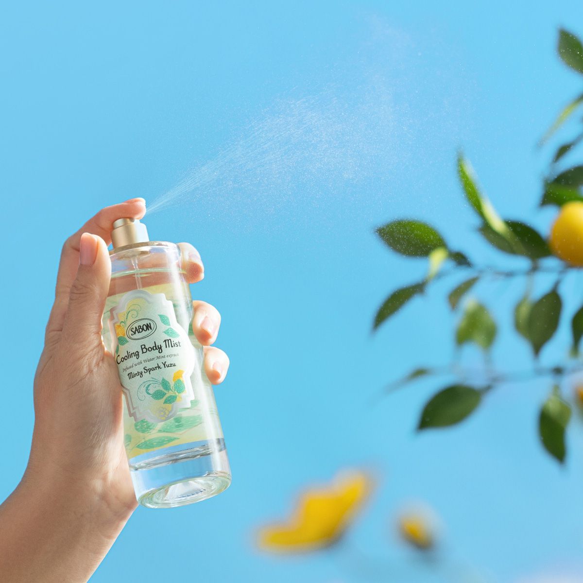 リフレッシュ ボディケアキット スパークリング・ユズの商品画像