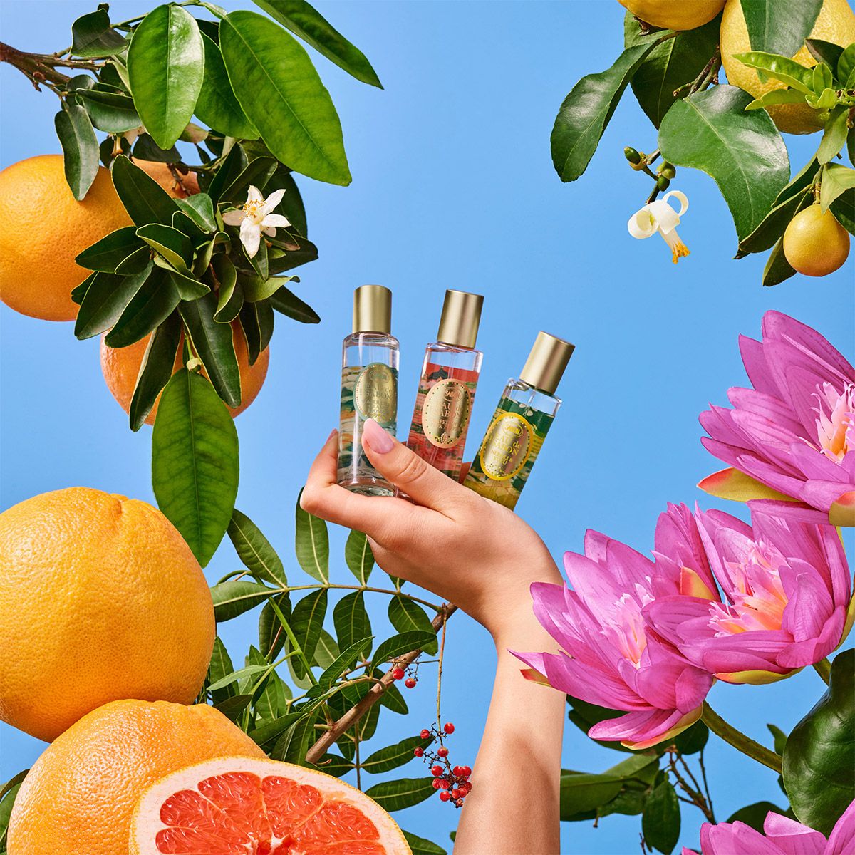 オー ドゥ サボン 30mL グレープフルーツ&ピンクペッパーの商品画像