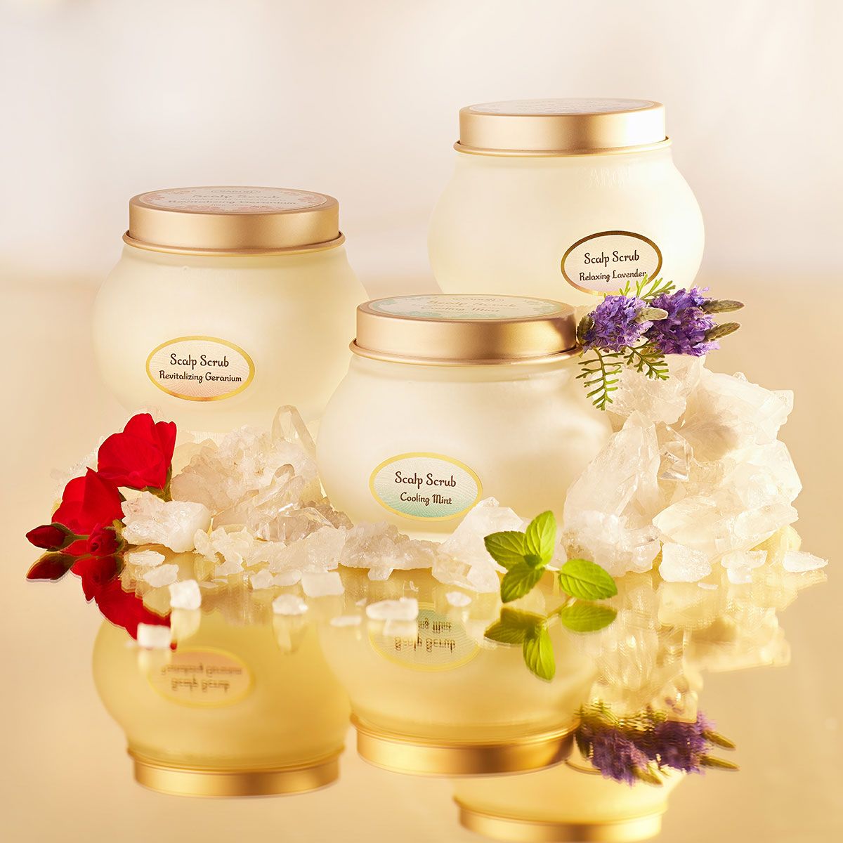 ヘッドスクラブデュオ リプレニッシング(ゼラニウム)の商品画像