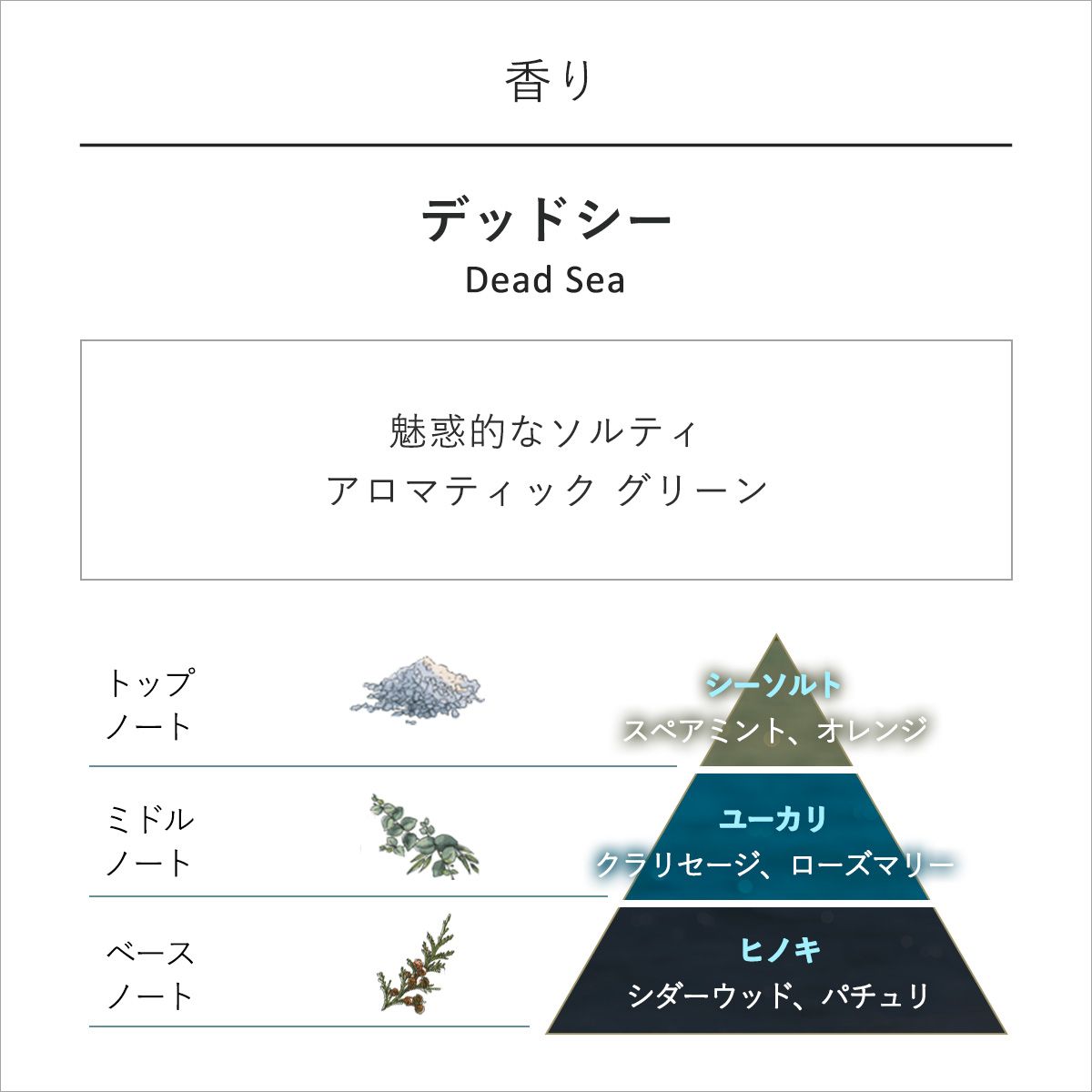 ブラック ボディ クレンザー デッドシーの商品画像