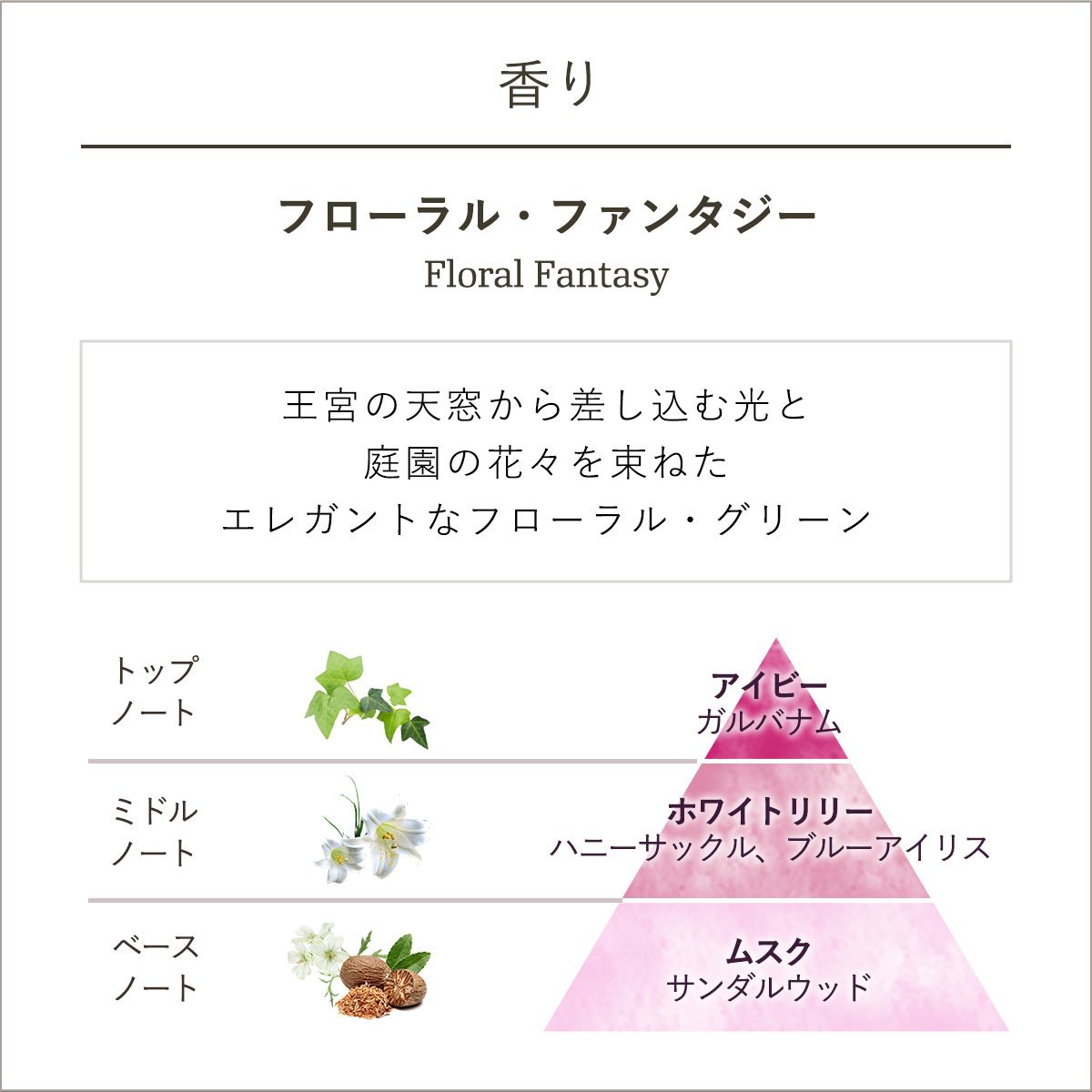 ボディスクラブ コレクション リリー・パレスの商品画像