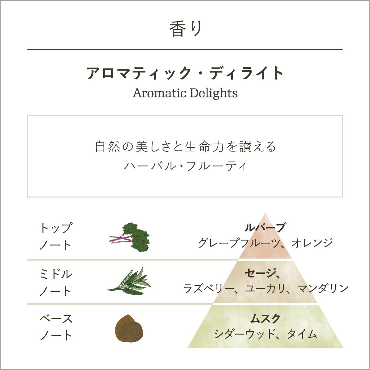 オー ドゥ パルファン アロマティック・ディライトの商品画像