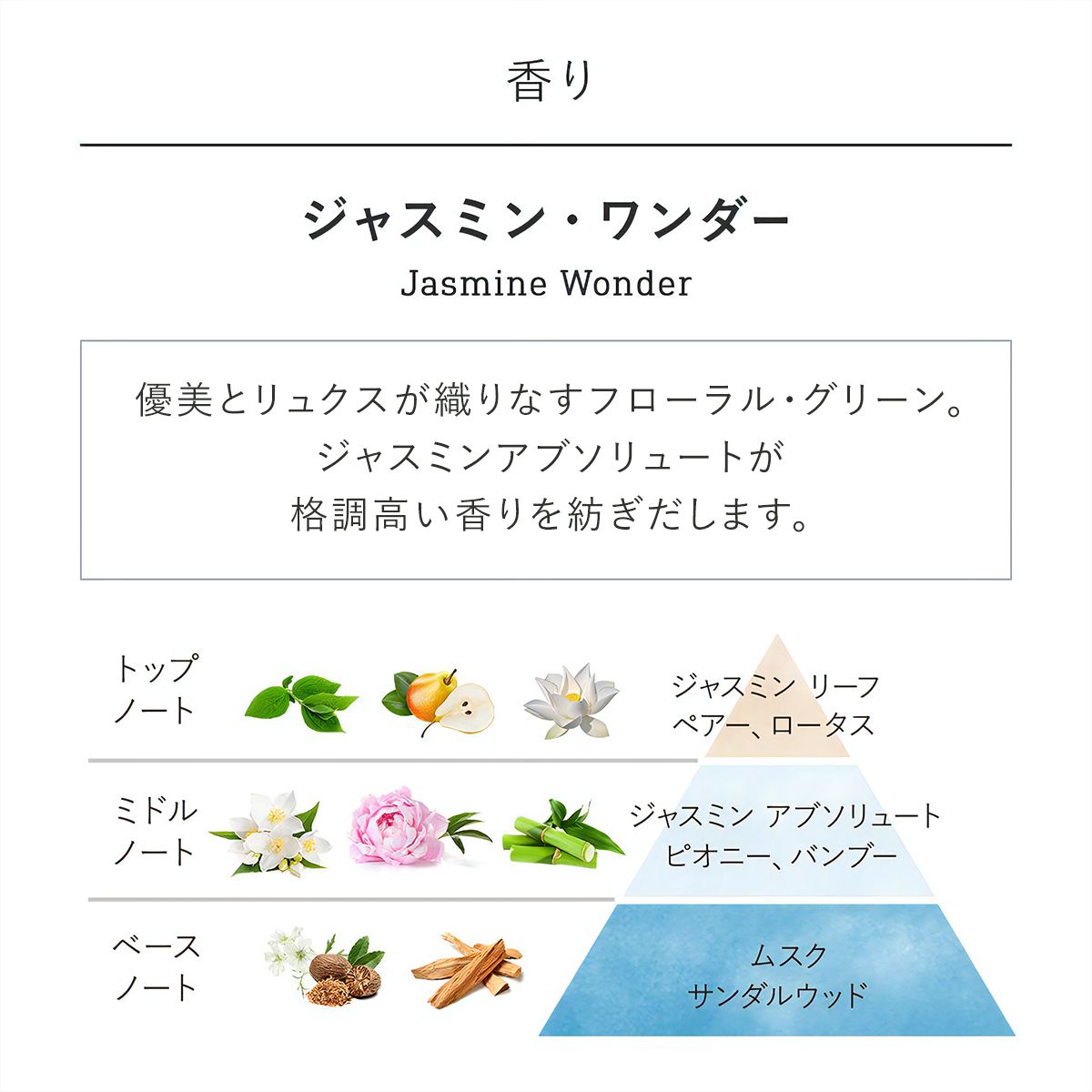 ディスカバリーギフト ジャスミン・ワンダーの商品画像