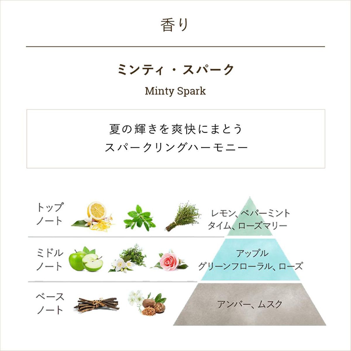 スパークリング ボディジュレ ミンティ・スパークの商品画像